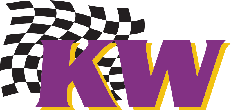 WP Automotive